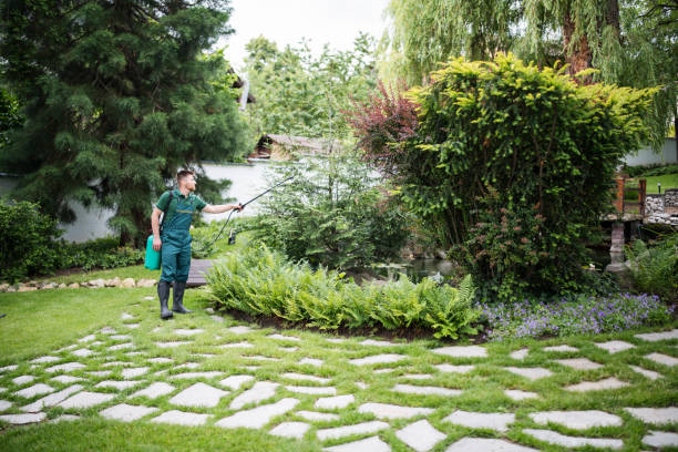 Best Fruit Tree Pruning  in Los Alamitos, CA